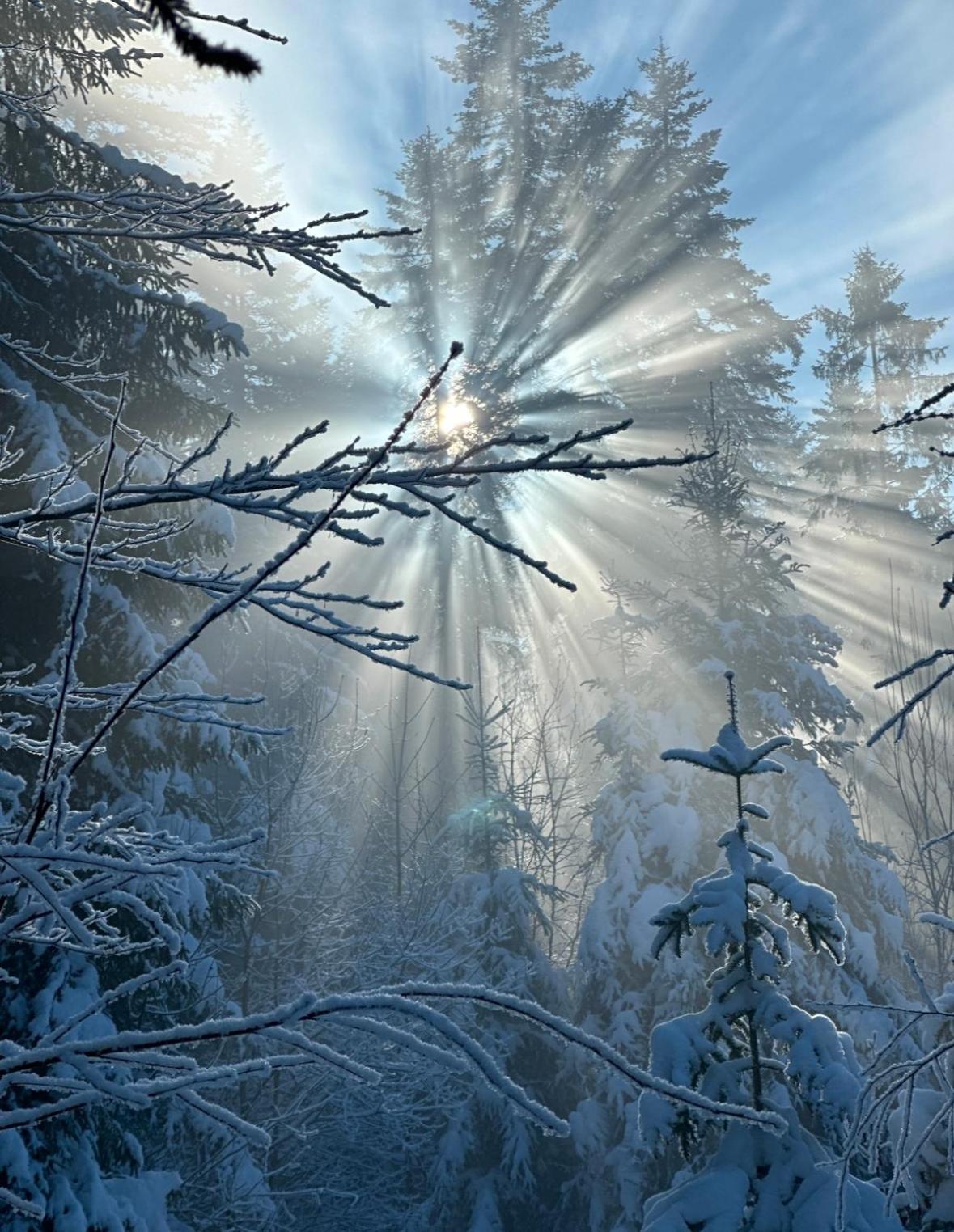 Lesna Przystan Gorce